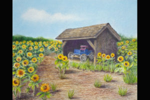 Tuttle Sunflower Farm, Sea Grape Gallery
