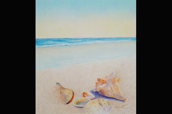 Anne Tuttle, Ocean Treasures, Sea Grape Gallery