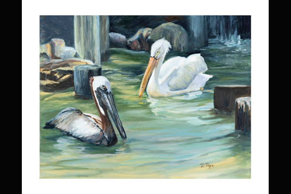 Donna Pape, Peace River Pelicans, Sea Grape Gallery