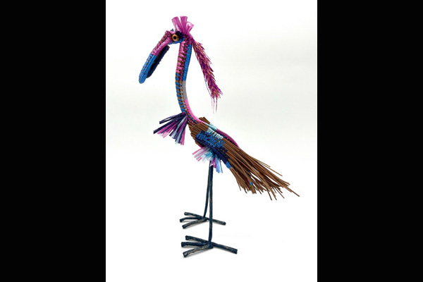 Beth Williams, Goofy Dodo Bird, Sea Grape Gallery