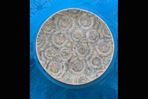 Daisy Erdmann, Swirly, Sea Grape Gallery Guest Artist