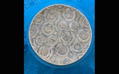 November Guest Artist Potter Daisy Erdmann